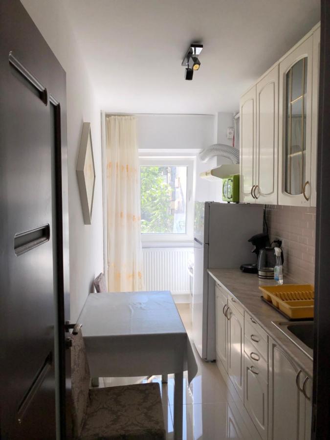 Le Garcon De Cristina-Simple,Quiet,Spacious Studio Bukareszt Zewnętrze zdjęcie
